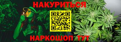 прущие крисы Новодвинск