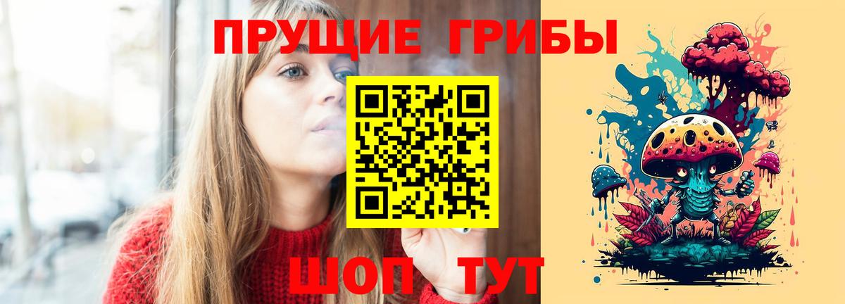 Дальнегорск  Псилоцибиновые грибы MAGIC MUSHROOMS  где продают наркотики  Псилоцибиновые грибы Cubensis  Вход с VPN 