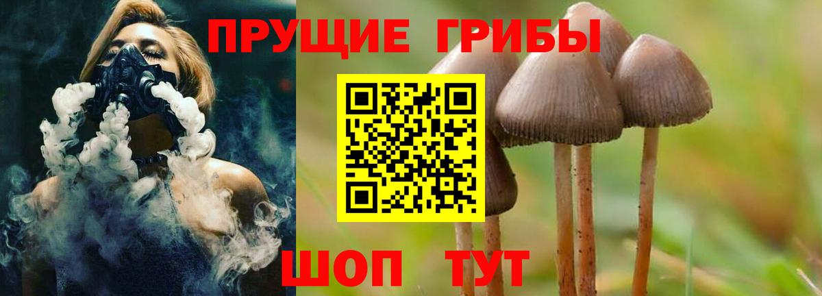 Псилоцибиновые грибы Psilocybine cubensis Дальнегорск